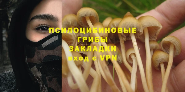 ПСИЛОЦИБИНОВЫЕ ГРИБЫ Новокубанск
