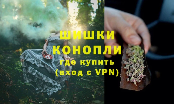 PSILOCYBIN Горнозаводск