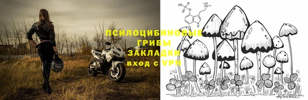 ПСИЛОЦИБИНОВЫЕ ГРИБЫ Новокубанск