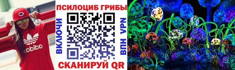 Галлюциногенные грибы GOLDEN TEACHER где можно купить наркотик Кола